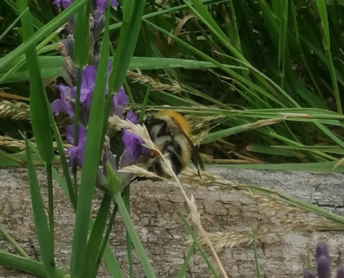 Impressionen von Hof Elderbusch in Bildern