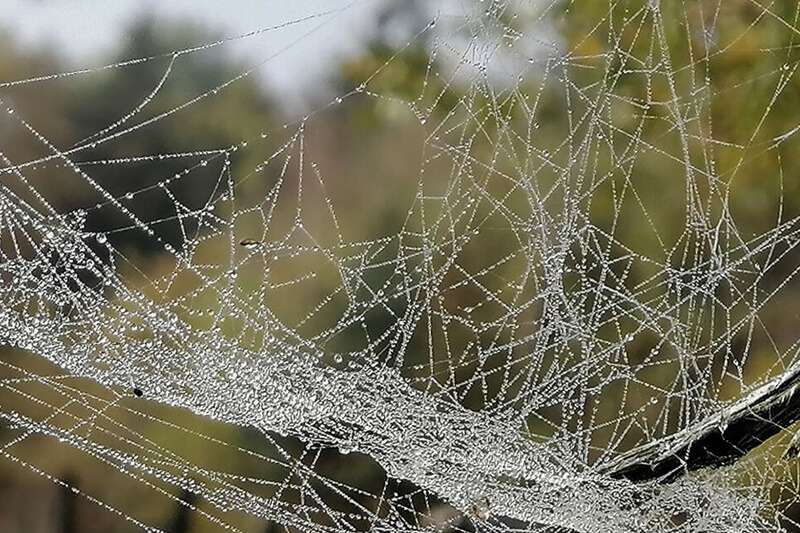 Angebotsübersicht mit Preisen von Hof Elderbusch